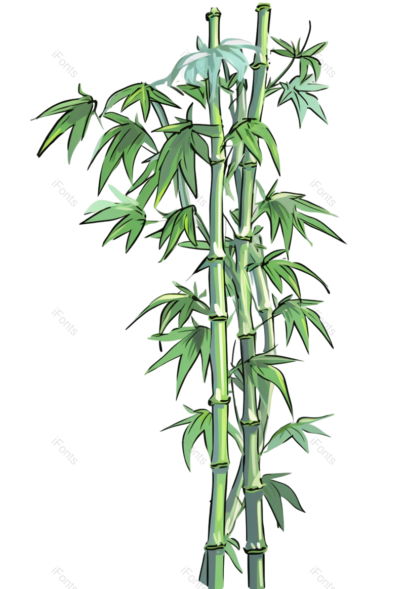 叶子图片,元素元素,卡通PNG,竹子免抠素材